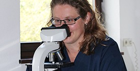 Dermatologie beim Tier